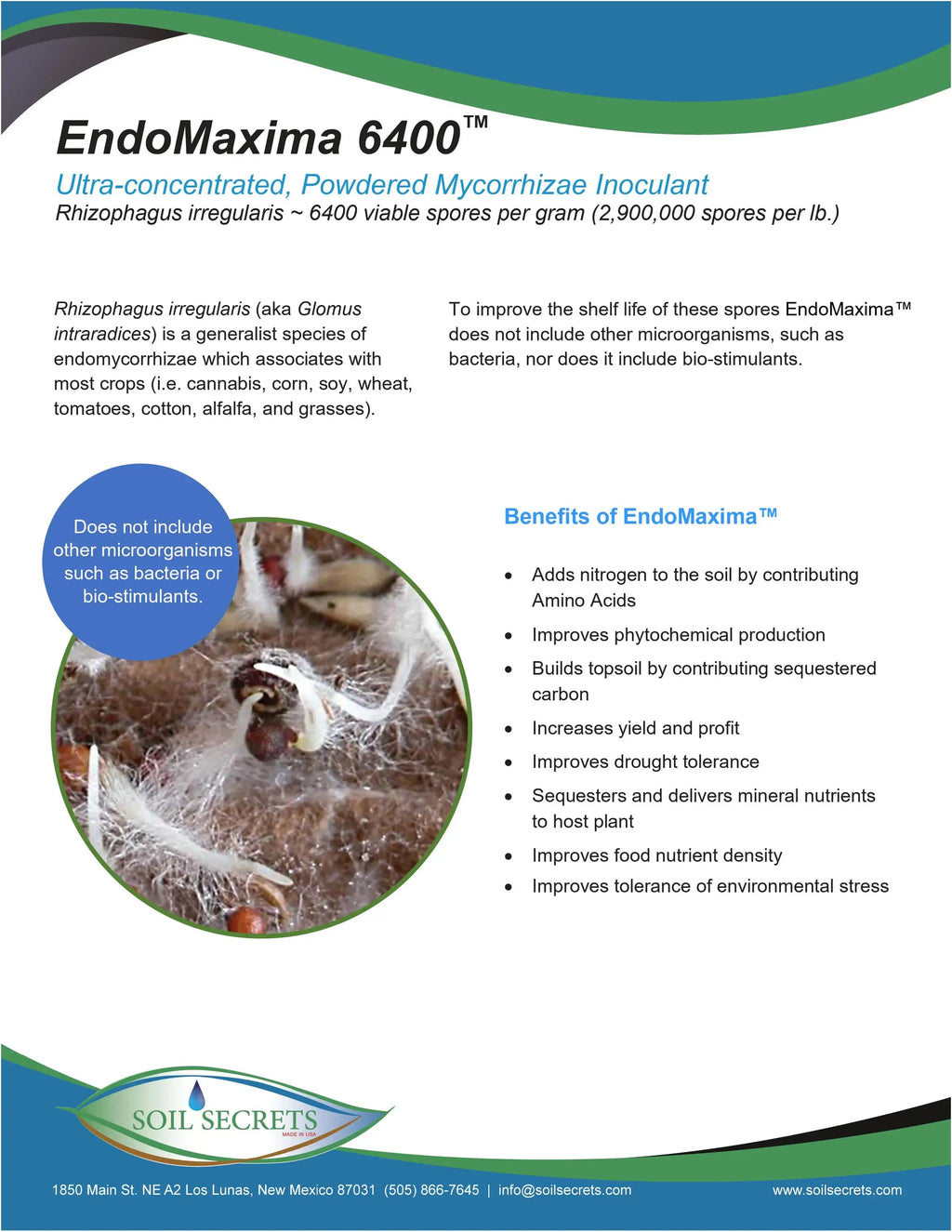 EndoMaxima 6400
